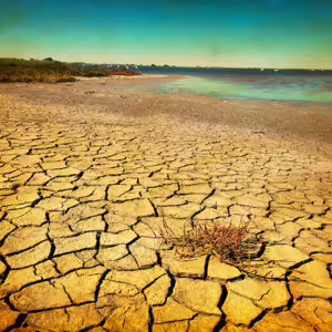 Crise hidrica ecocasa