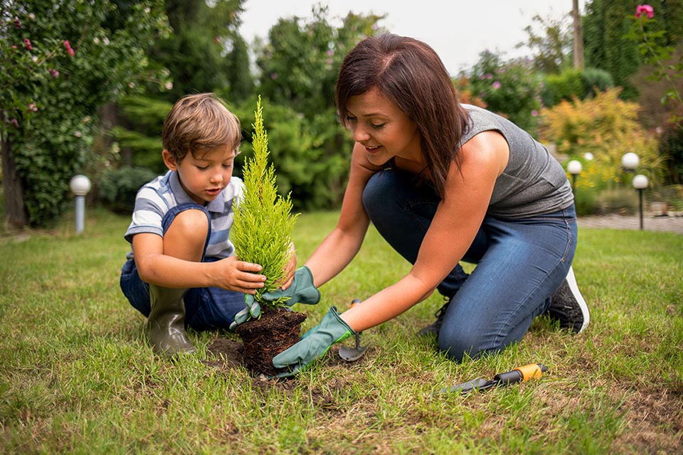 futuro da sustentabilidade no algarve