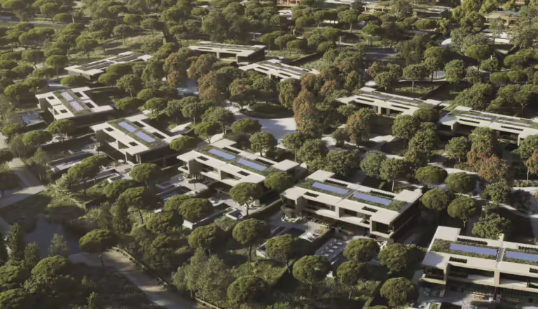 Sustentabilidade no Algarve: Projeto Arcaya apresenta boas práticas ambientais