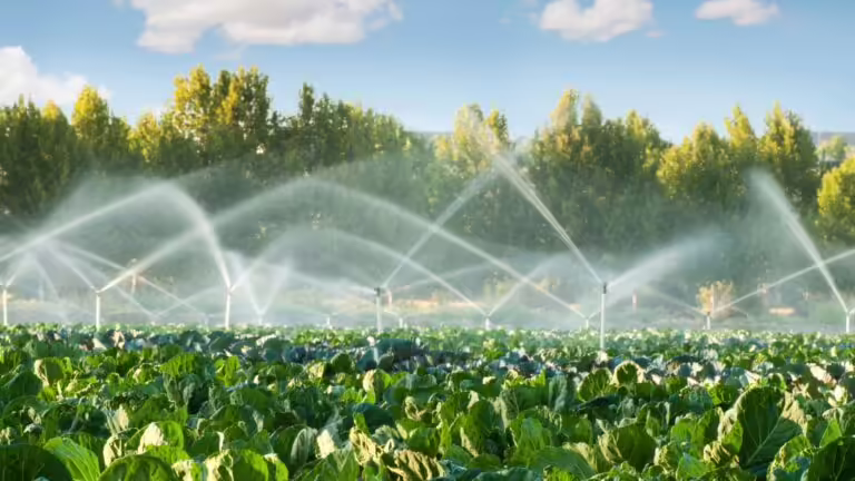Reuso de Esgoto para Irrigação: Quais os Benefícios e Como Implementar?